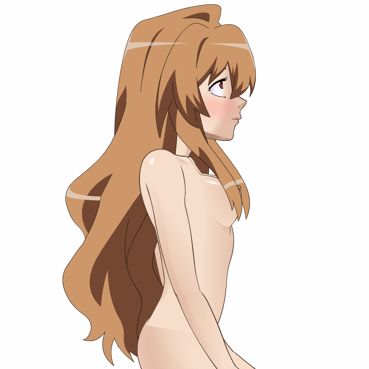 Aisaka Taiga.png