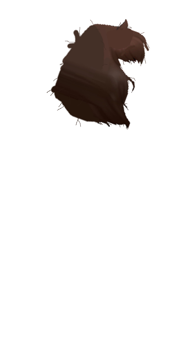 Amber The Fall Maiden's Messed Up Brown Hair.png