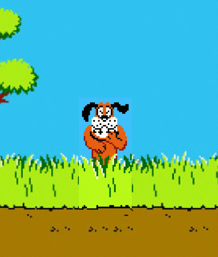 Animated Background - Duck Hunt - example.gif