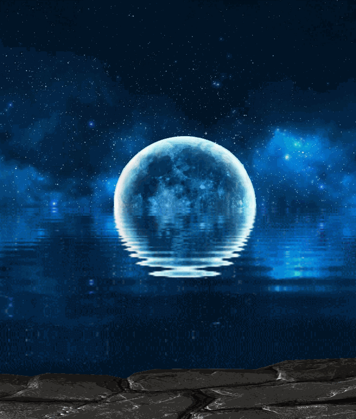Animated Background - Moon and Dolphins - example.gif