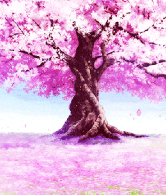 Animated Background - Sakura - example.gif