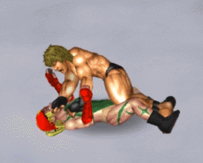 arm triangle.gif