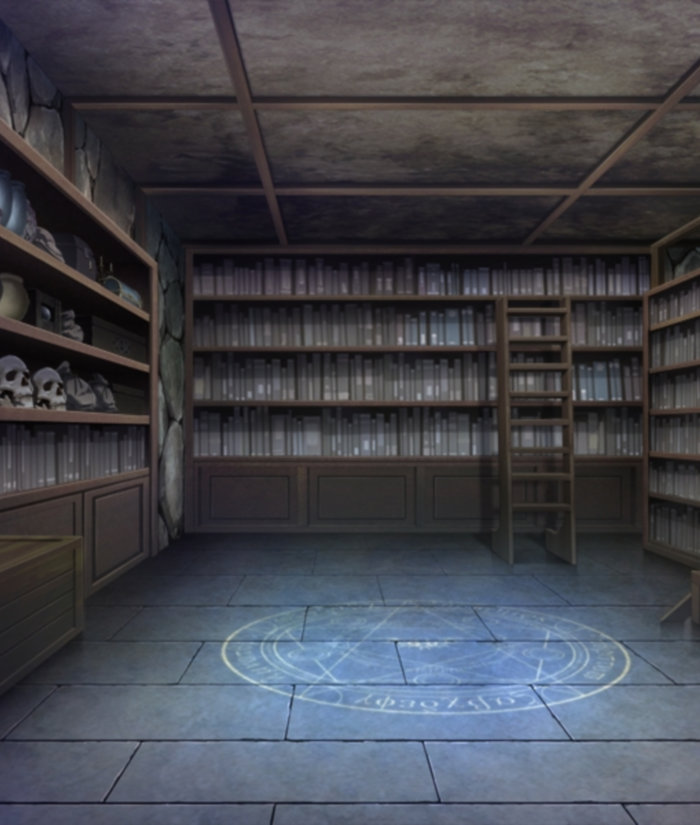 Basement library.jpg