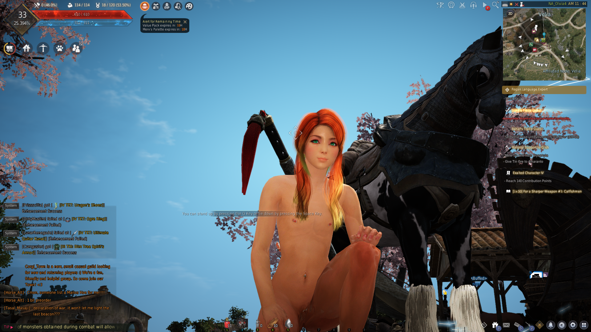 BLACK DESERT - 300132 11_29_2018 1_23_20 AM.png