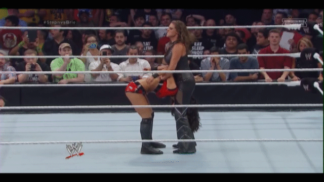 brie vs steph 17 pedigree.gif
