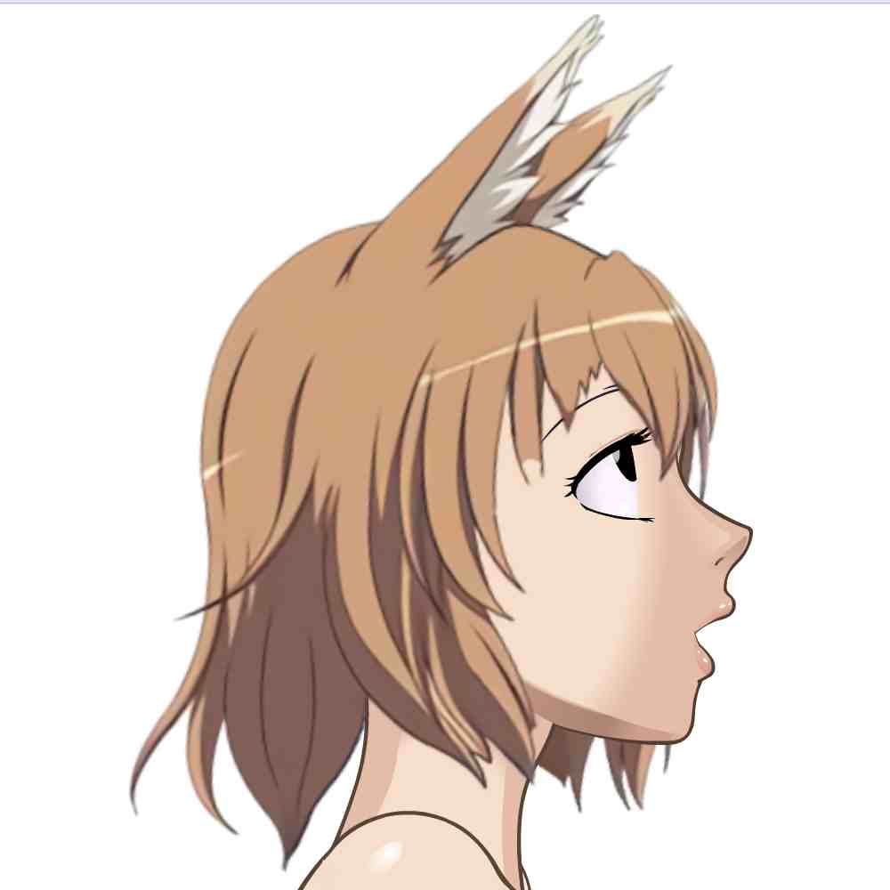 Brown Foxgirl.jpg