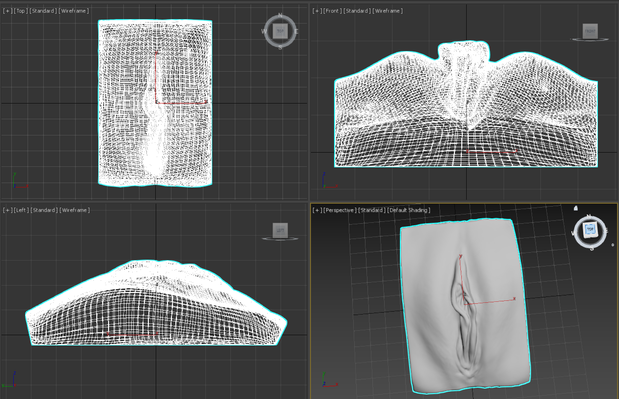 detailed vagina model.png