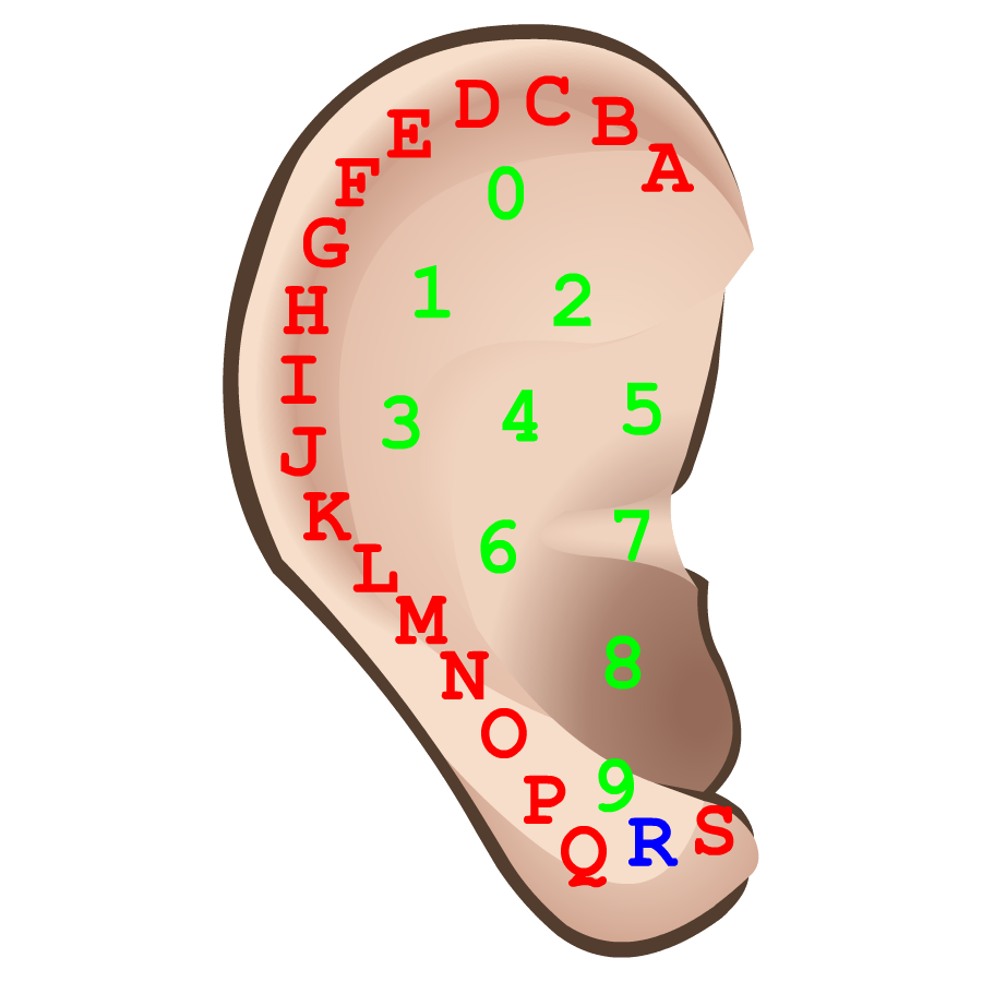 Ear piercings (codes).png