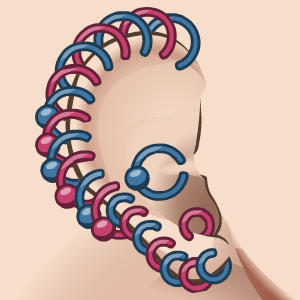 Ear piercings (icon).png