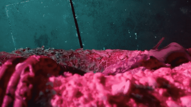 Episode #159 - Azologoth Prime-low (2).gif