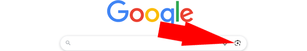 Google image search.png