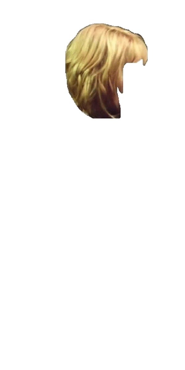 Judge Cassandra Anderson.gif