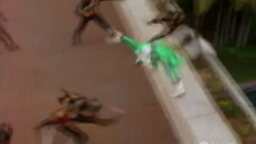 Lightspeed Rescue Male Zako.gif