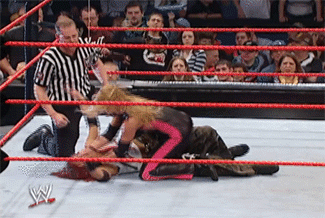 lita 2 mocked.gif
