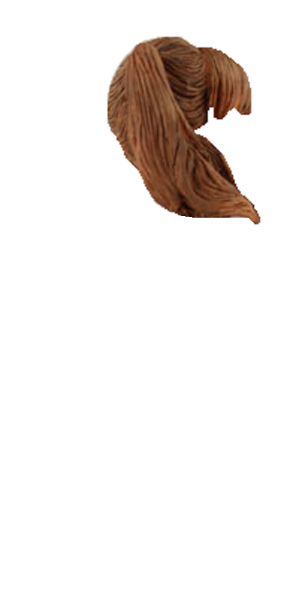 Mindy McCready Pigtails Template.png