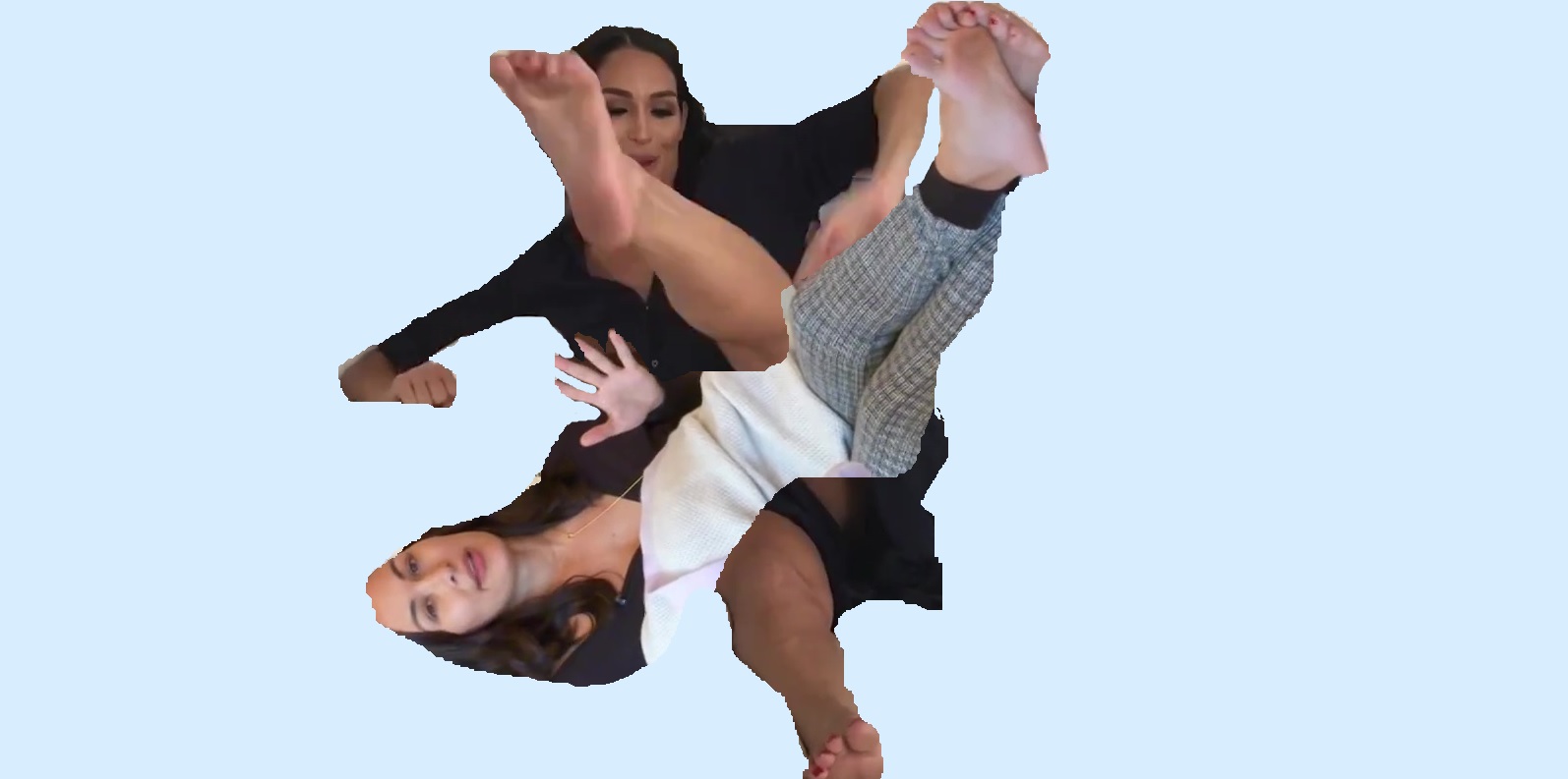 Nikki vs. Brie 3.jpg