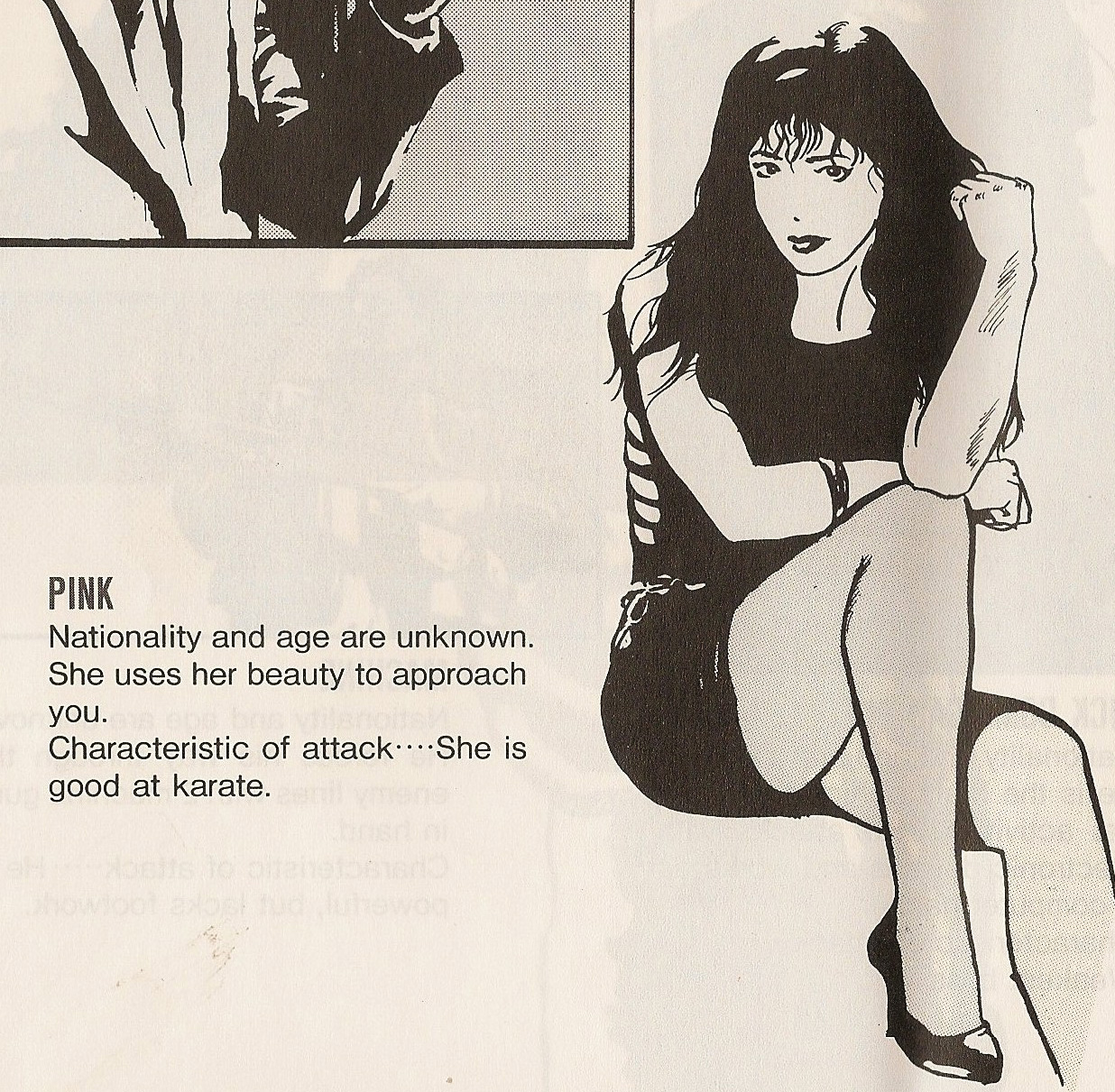 Pink The Super Spy Manual.jpg