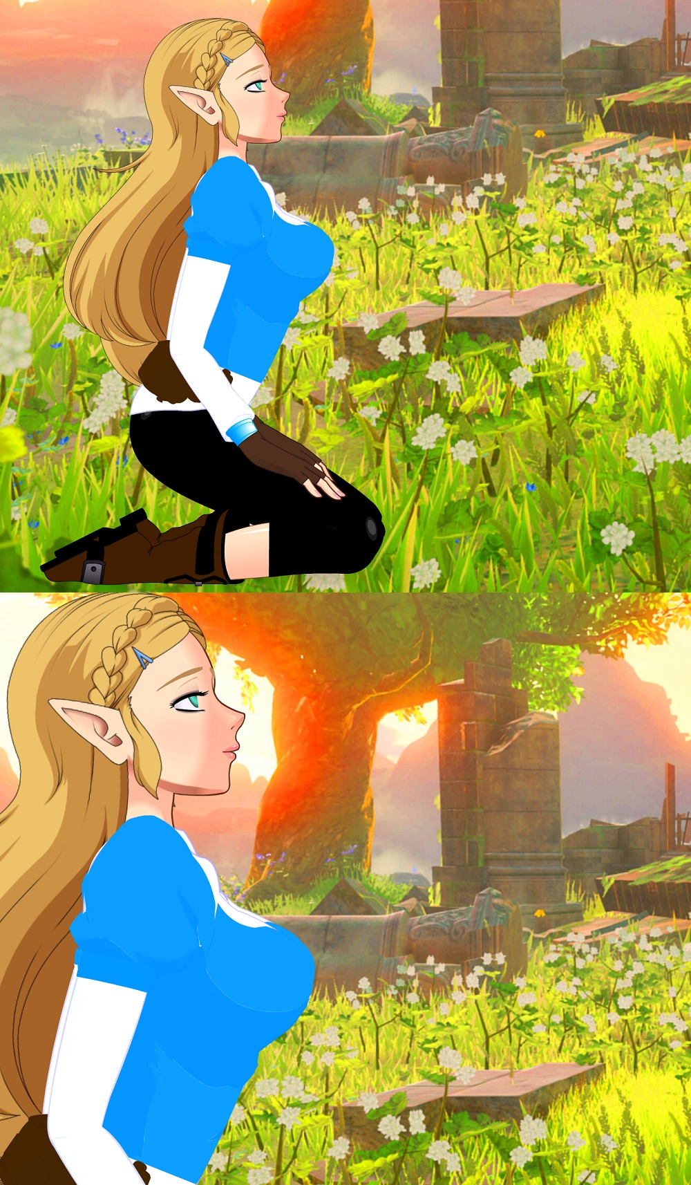Princess Zelda -BoTW- Preview.jpg