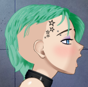 Punk_NoFade_StarTattoos Screen.png