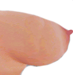 side boob  revised.png