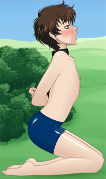 Suzaku Hair Preview.png