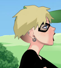 Terra Shaved Screen.png