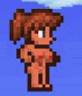 Terraria_Boob_Walk_test2.gif