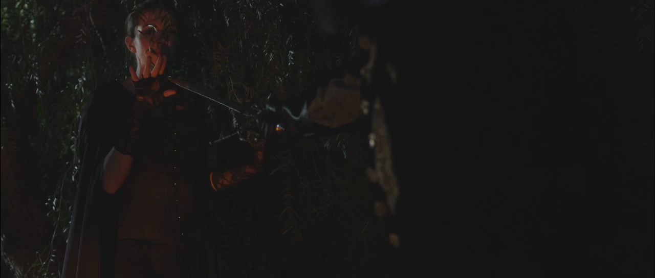 The Adventures Of Don Juan and Don Tu Trailer_HD_WEB.mp4_snapshot_00.49_[2021.10.20_16.00.48].jpg