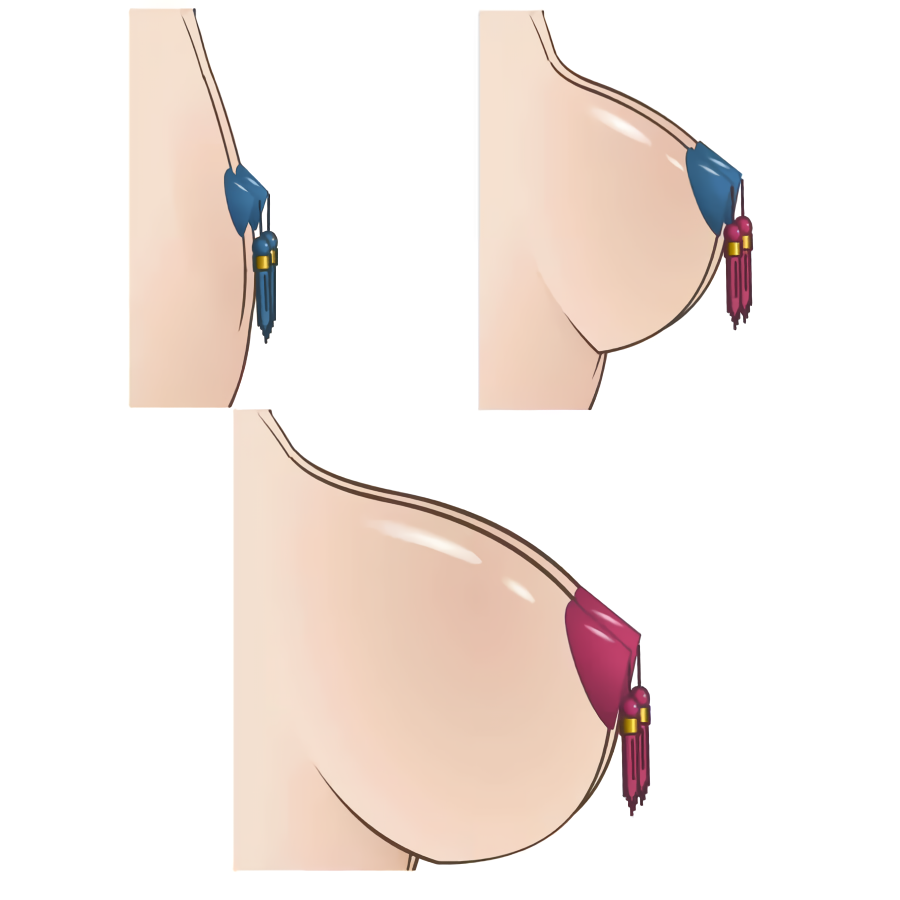 top-nipple-pasties_waifu2x_art_noise2-png.167293