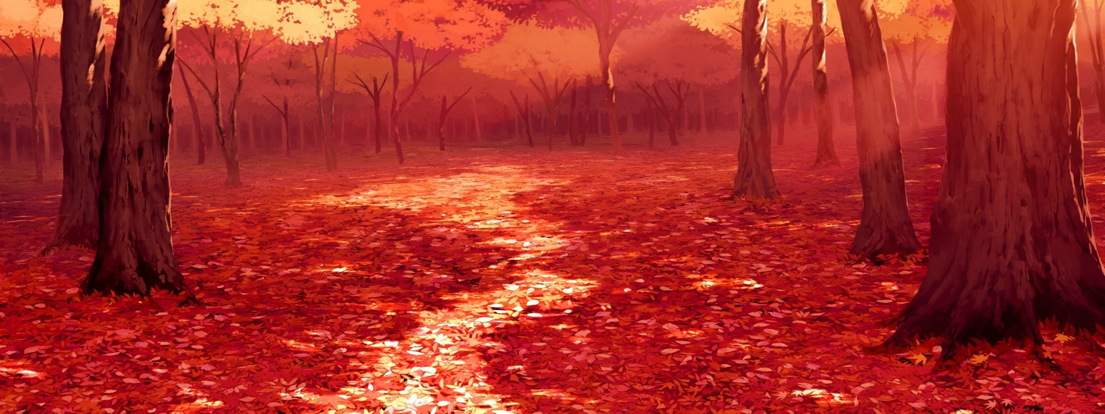 XL Background - Forest 02.jpg