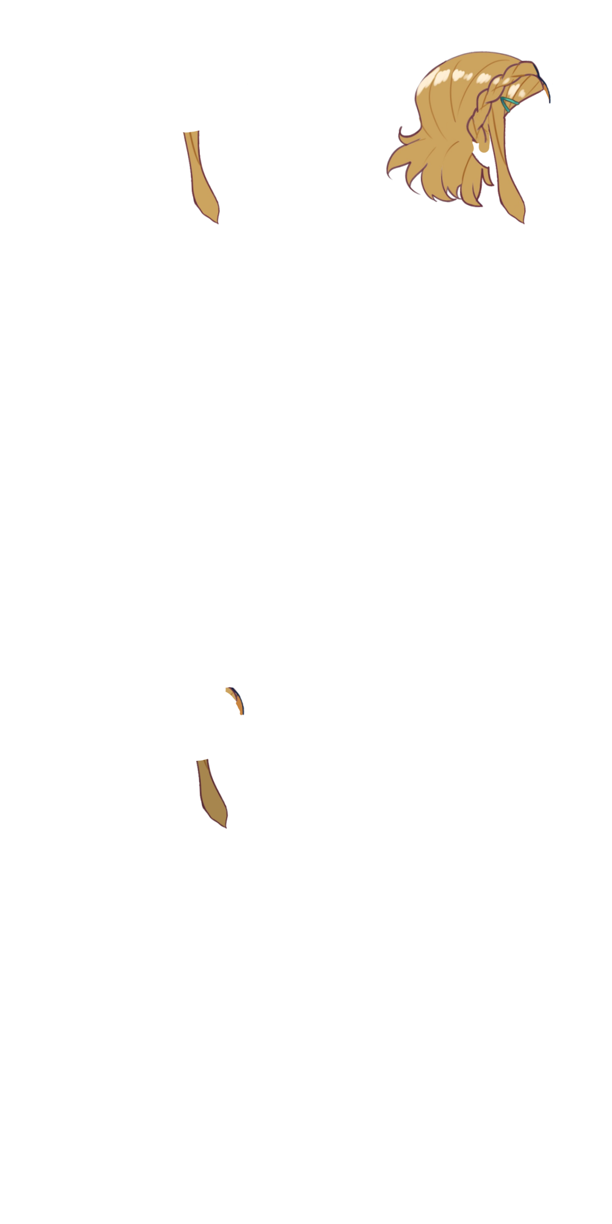 Zelda BotW2 hair.png