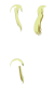 Break Blade_Sigyn Erster.png Break Blade_Sigyn Erster.png