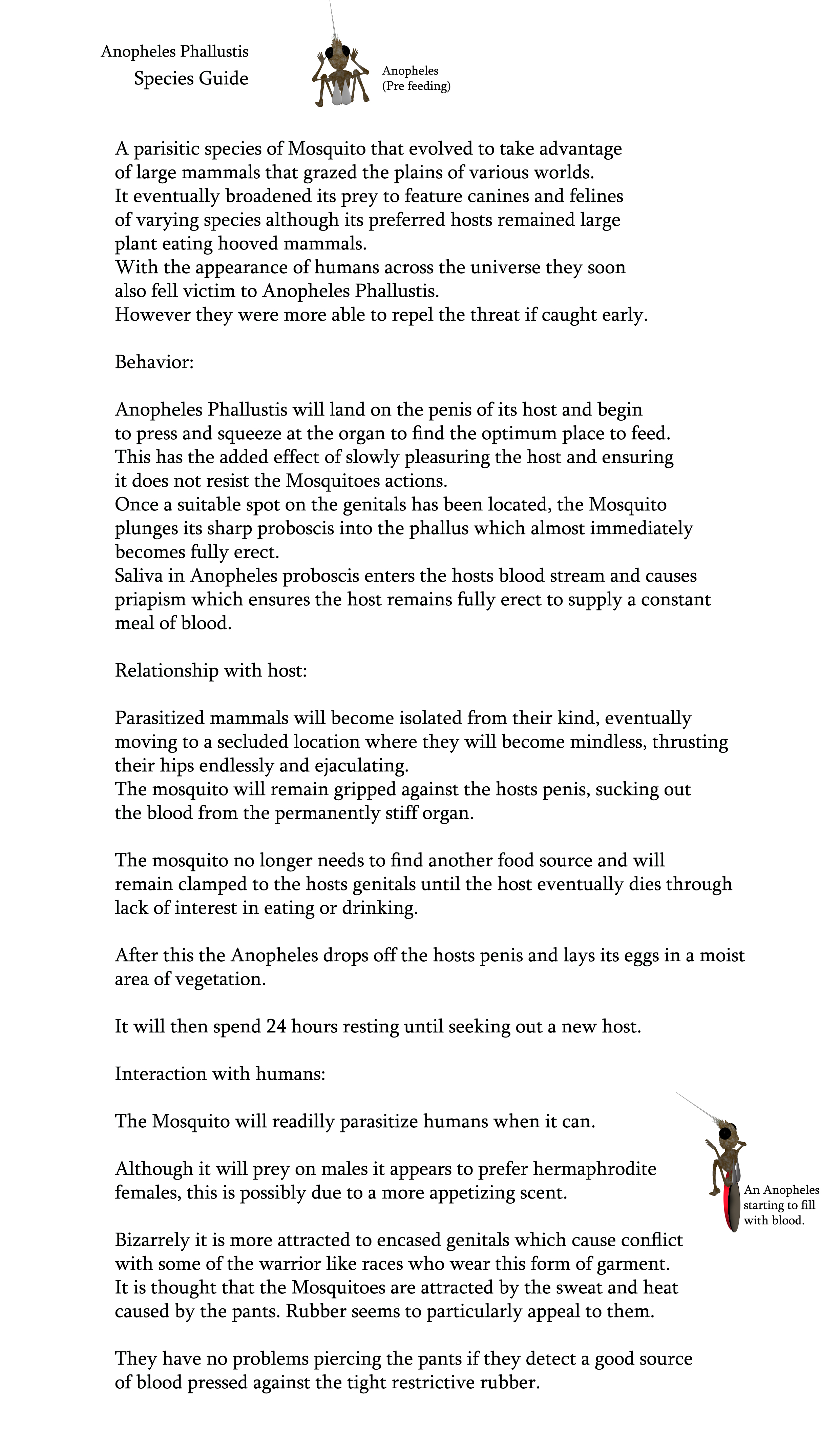 Species Guide - Anopheles Phallustis.jpg