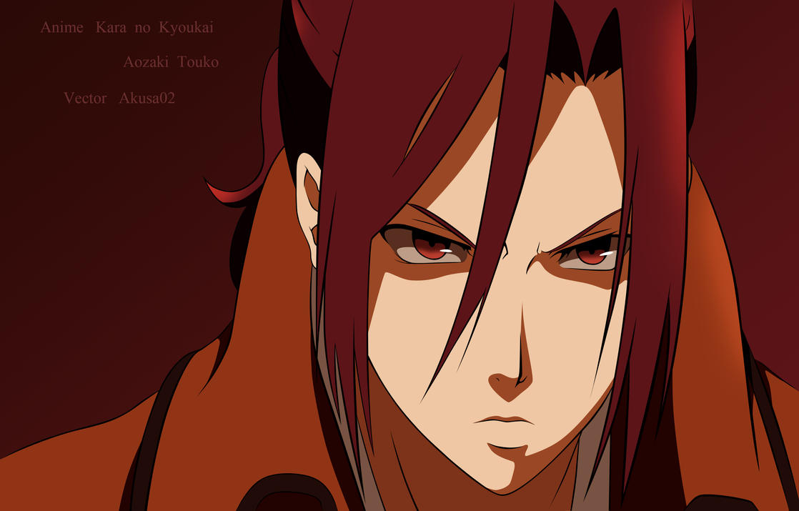 kara_no_kyoukai_aozaki_touko_v_by_akusa02.jpg