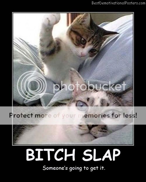 Bitch-Slap-Best-Demotivational-Post.jpg